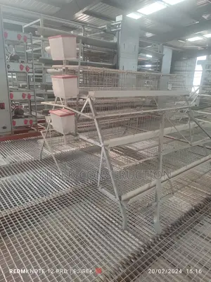 Battery Cage Imported 120 Capacity Layers