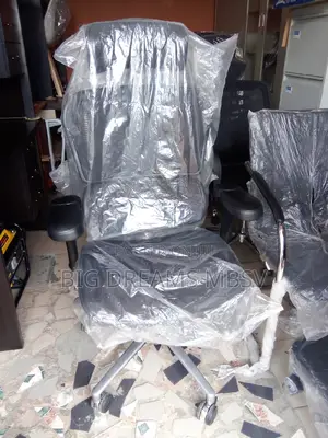 Bg Egornomic Swivel Chair