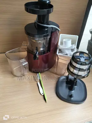 Huroum Masticating Slow Juicer