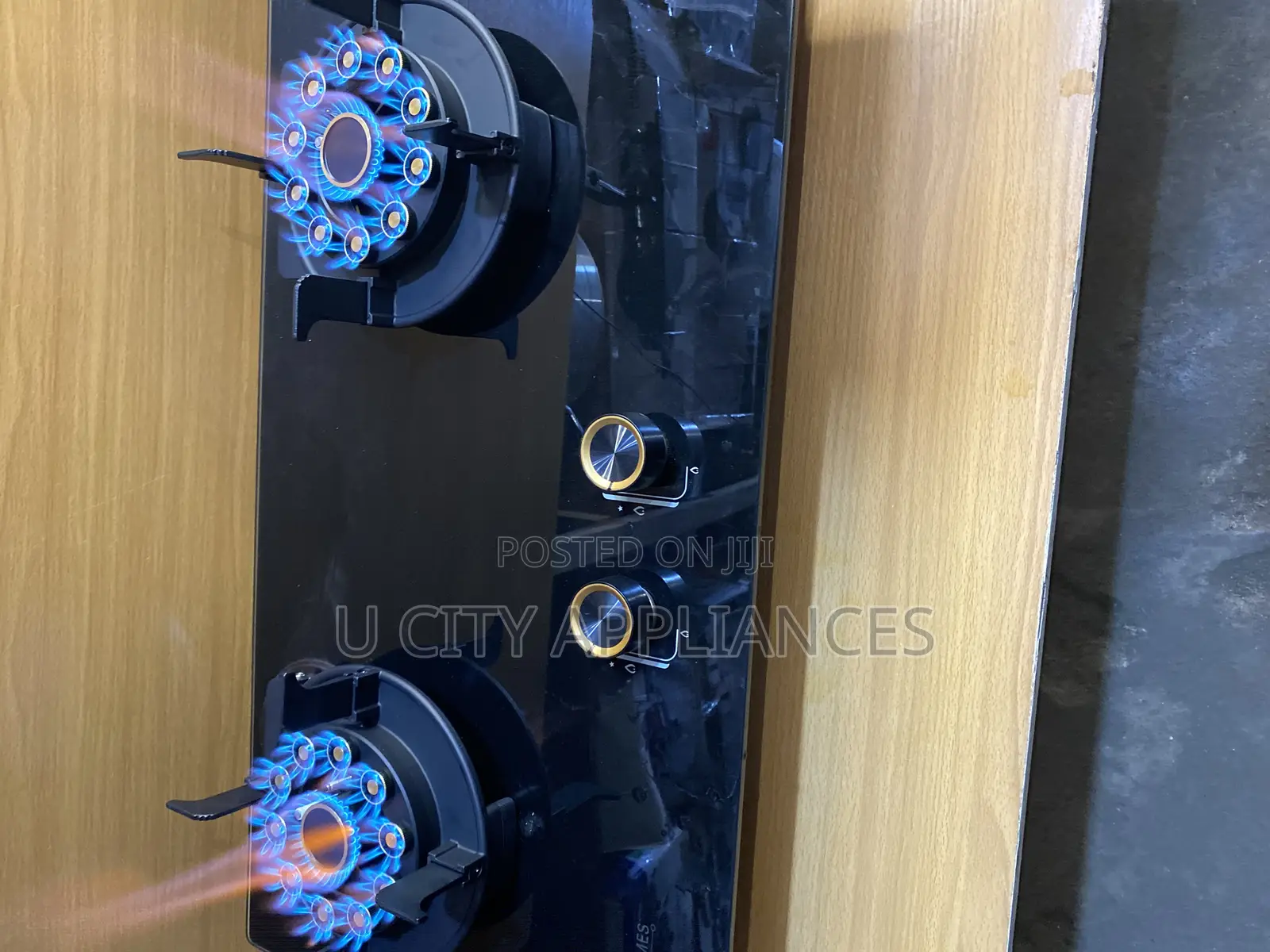 Meestajames Stainless Steel Dual Stove