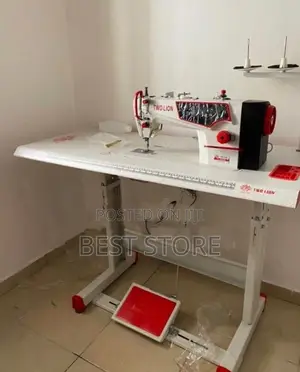 Photo - Straight Sewing Machine Inverter Direct Drive Two Lion