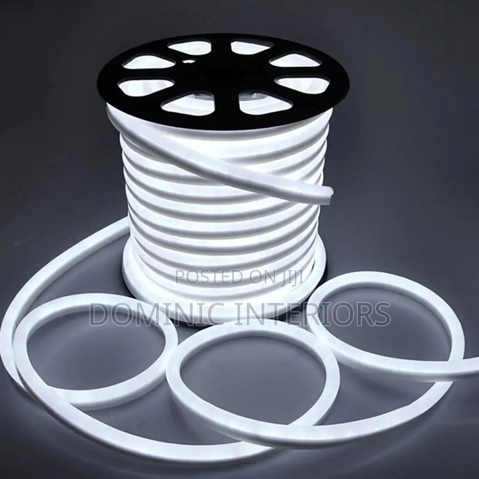 Neon Strip Light