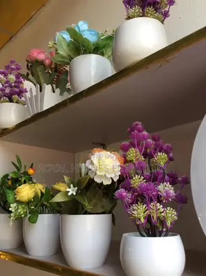 Small Interior Flower Pot