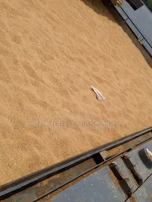 Soya Bean and Wheat Meal Fumigation