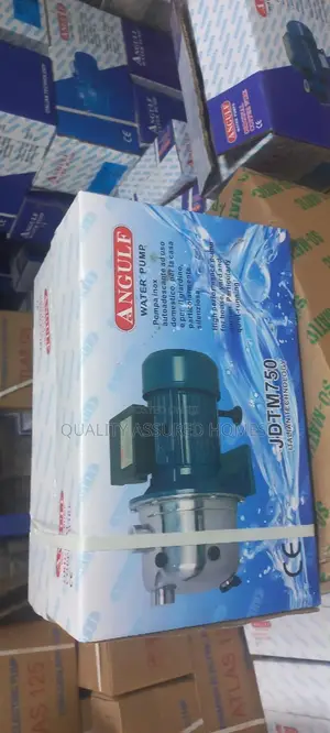 1hp Stainless Head Angulf Water Pump