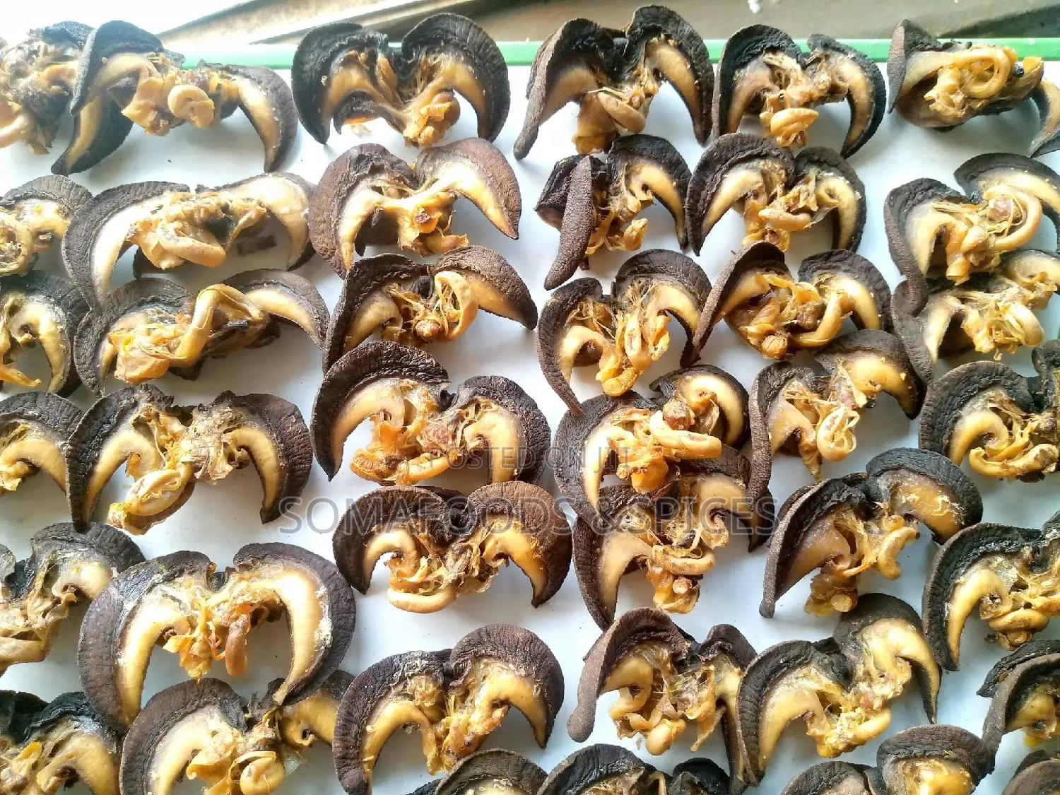 Ovendried Xjumbo Snails