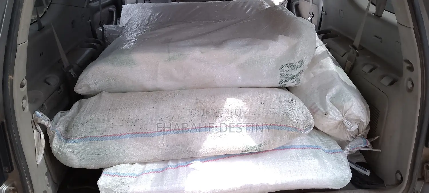 Mr Destiny Sack Bag