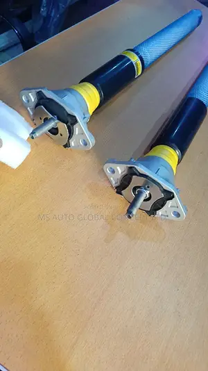 Back Shock Porsche Panemera