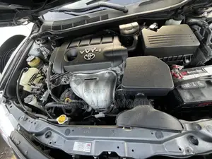 Toyota Camry 2010 Gray