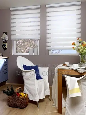Dy and Night Window Blinds