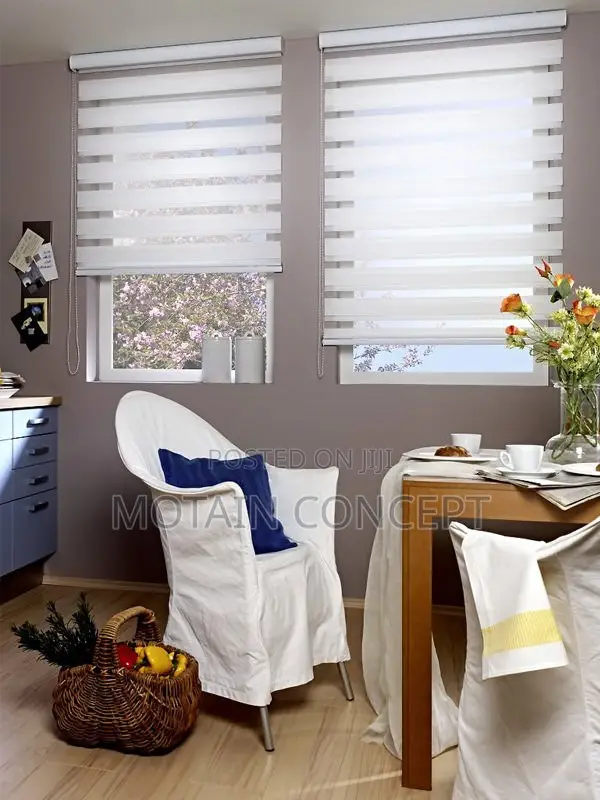 Dy and Night Window Blinds