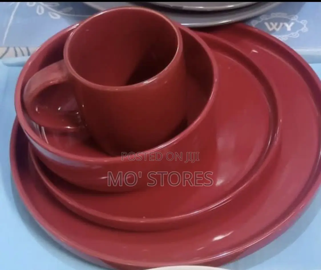 16 Pieces Stoneware Dinner Set