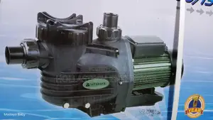 Interdab Swimming Pool Pump