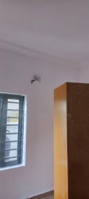 House Painting Expert