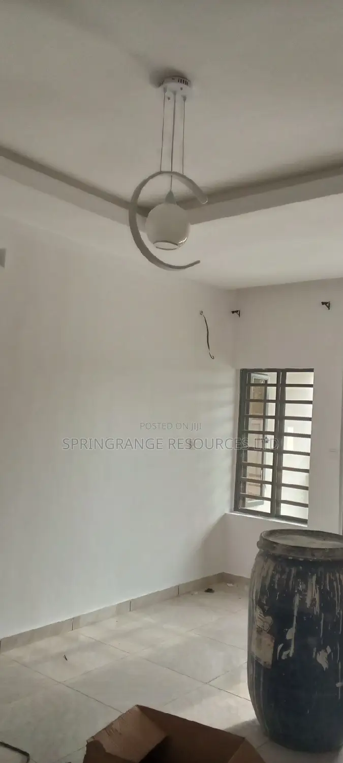House Painting Expert