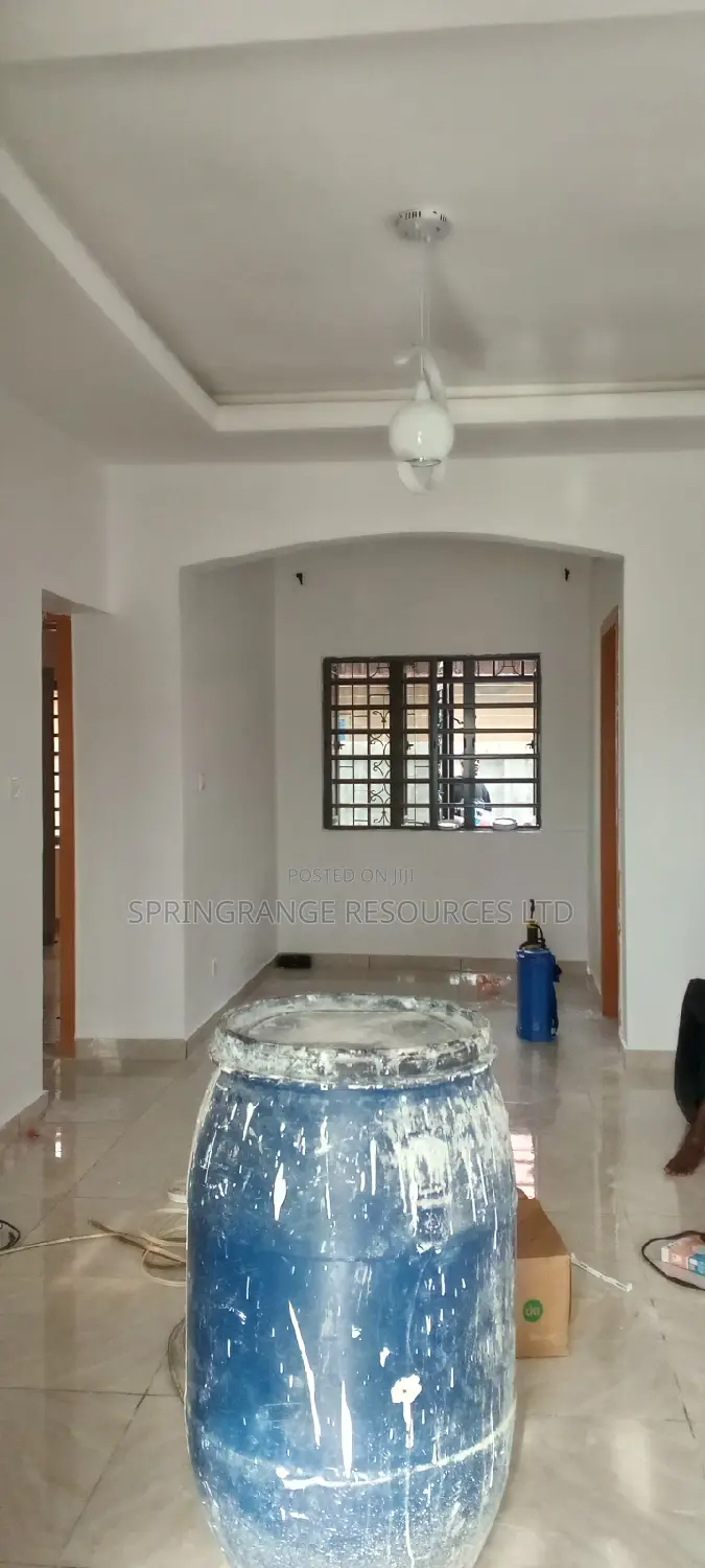 House Painting Expert