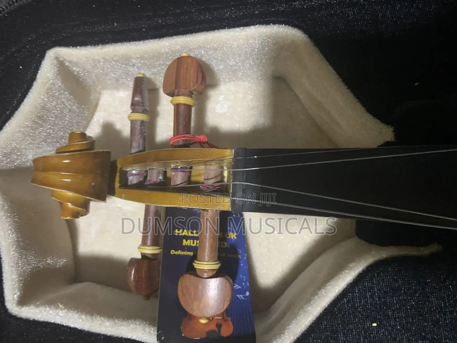 Violin 4/4 Concert Violin