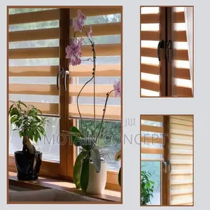 Day and Night Window Blinds