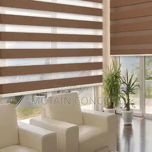 Day and Night Window Blinds