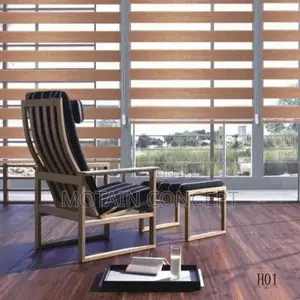 Day and Night Window Blinds