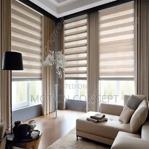 Day and Night Window Blinds