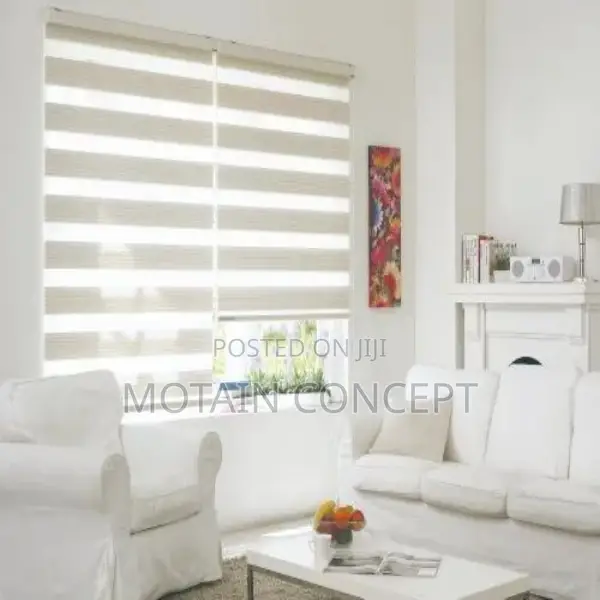 Day and Night Window Blinds.
