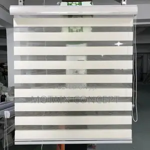 Day and Night Window Blinds