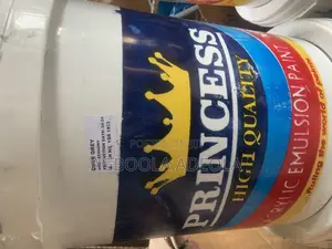 Princess Paint
