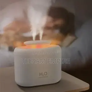 3.3L Double Spray Portable USB Ultrasonic Cold Mist Sprayer
