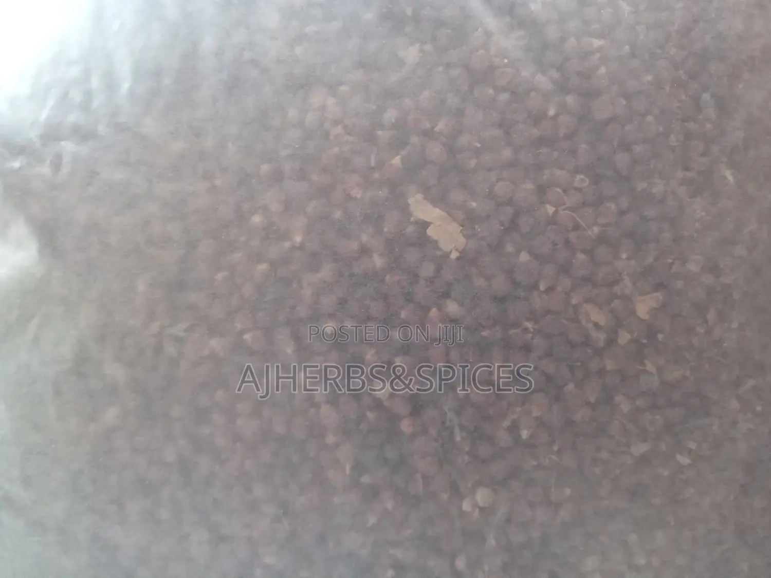 Alligator Pepper