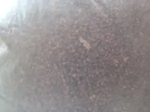 Alligator Pepper