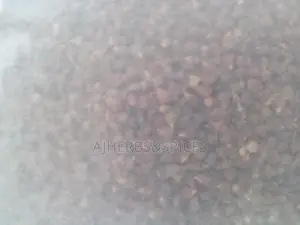 Alligator Pepper