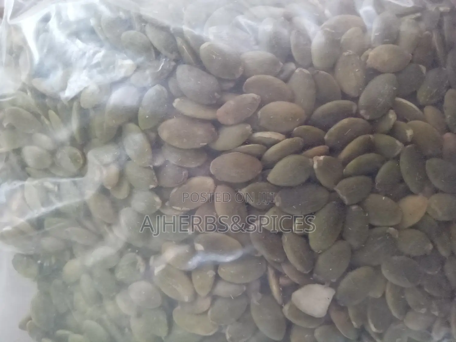 Pumpkin Seed