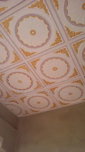 Suspended Ceiling