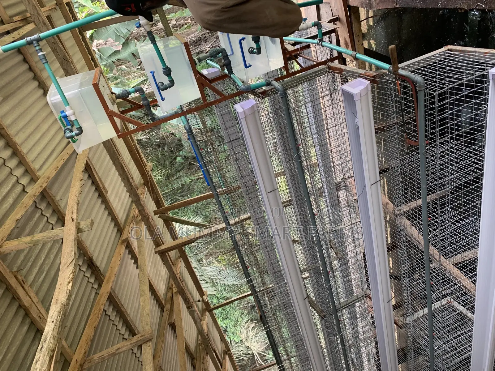 Battery Cage