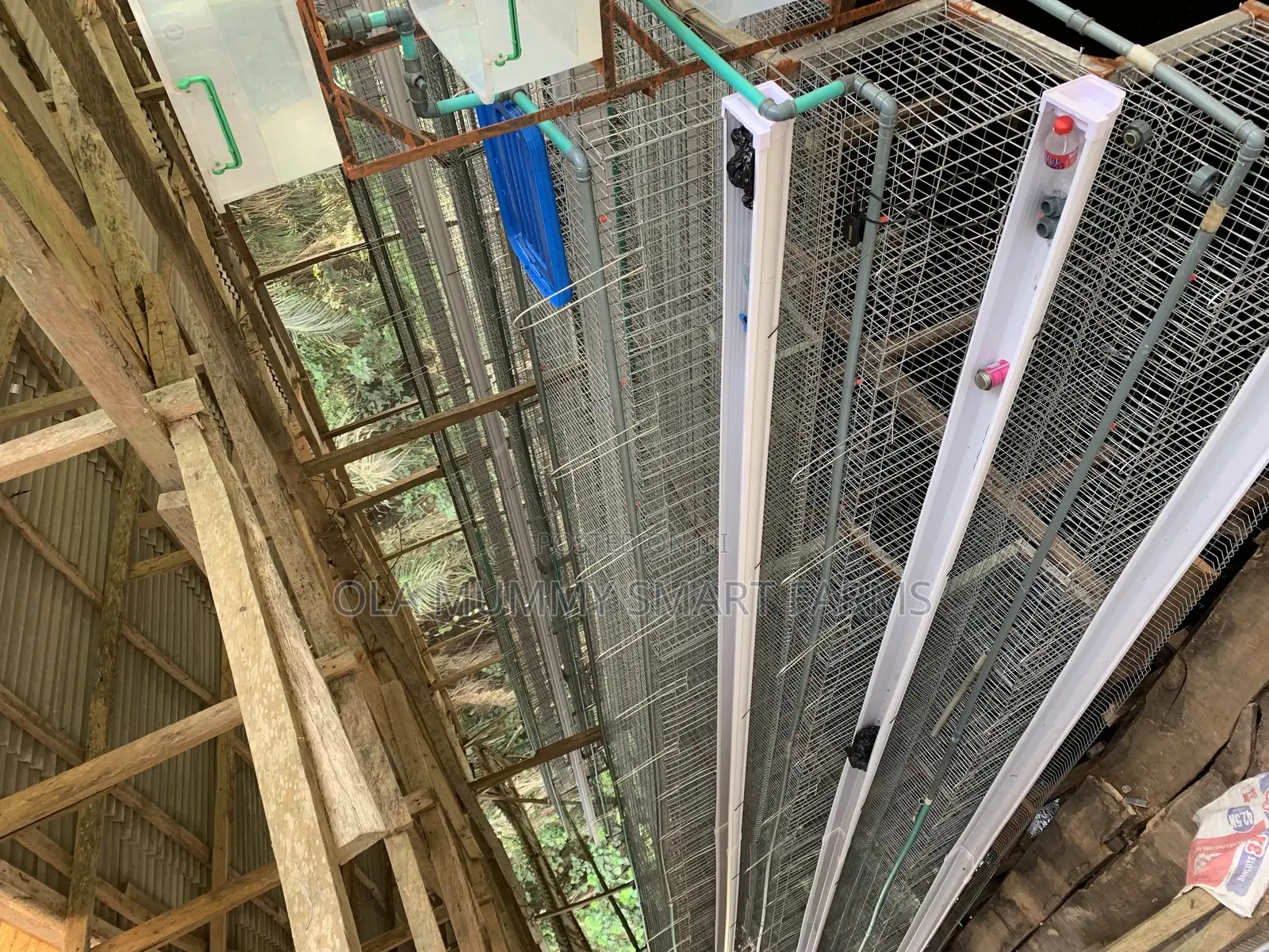 Battery Cage