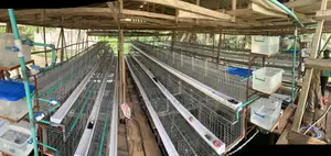 Battery Cage