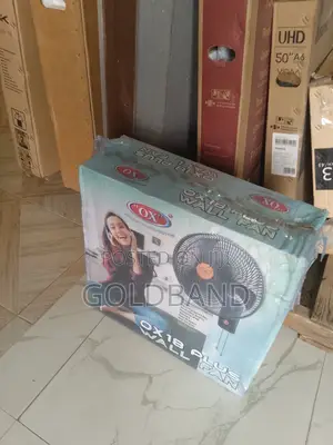 Efficient OX PLUS Wall Fan