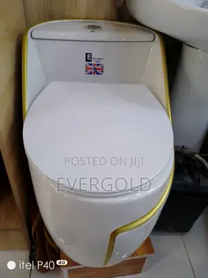 Smart High Quality Water Closet With Original Flush System