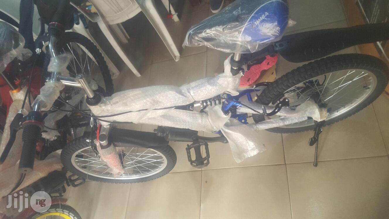 Adult Bicycle
