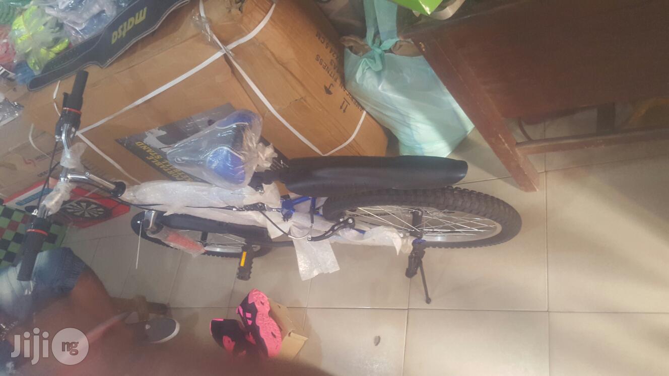 Adult Bicycle