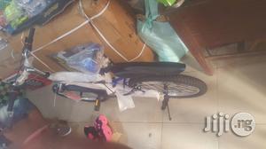 Adult Bicycle