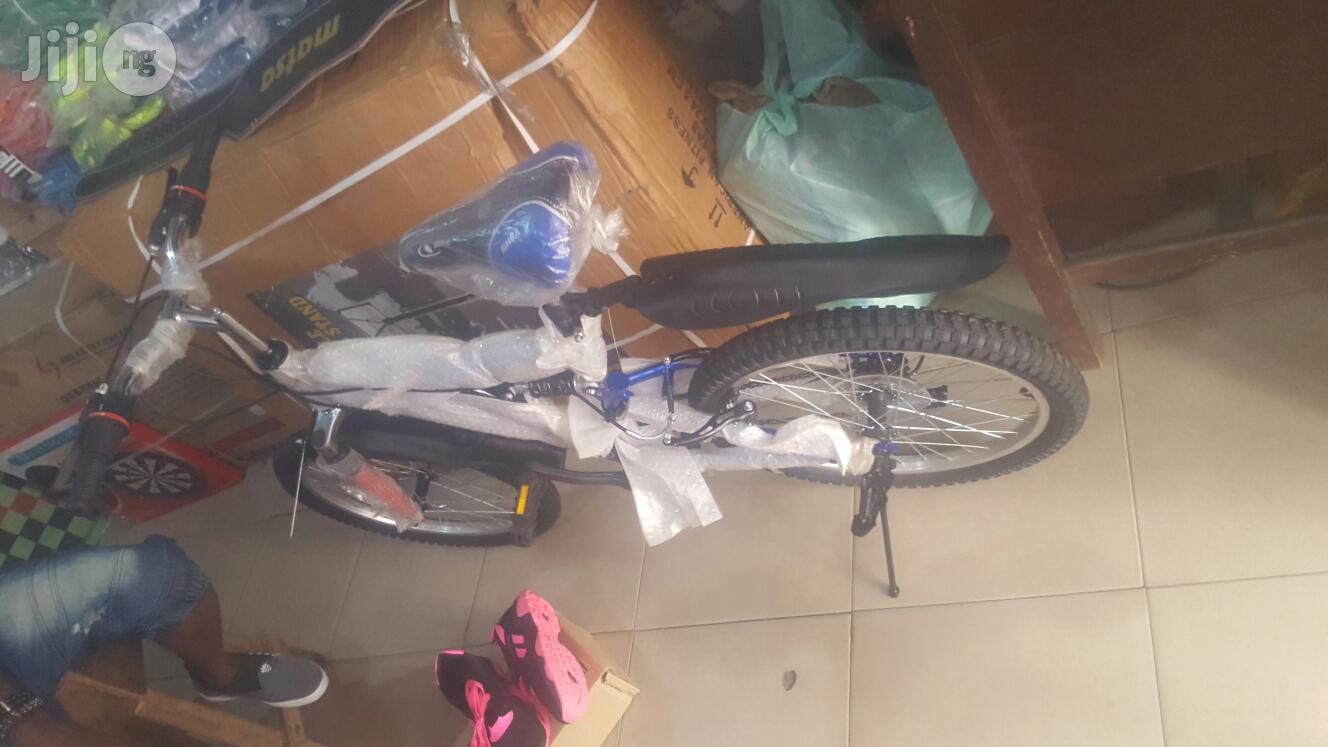 Adult Bicycle