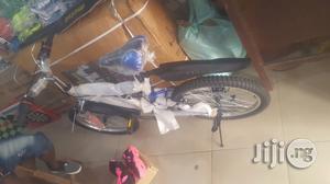 Adult Bicycle