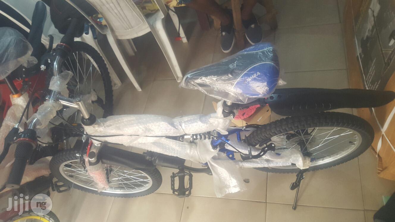 Adult Bicycle