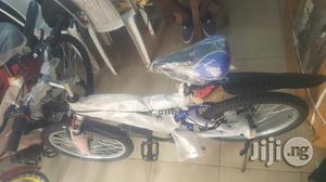 Adult Bicycle