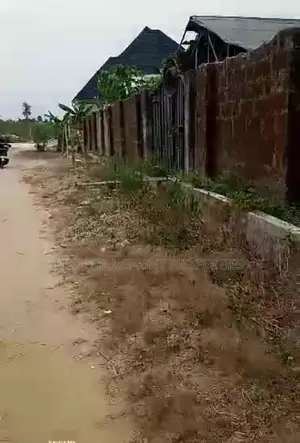 150 by 50 Used for Farm Located at Ozoro Isoko for Sale