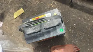 Maxx Ever Start Battery