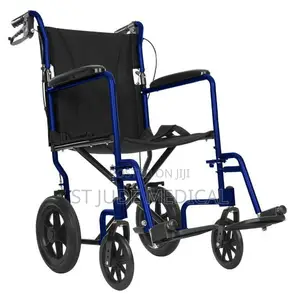Pushing Wheelchair
