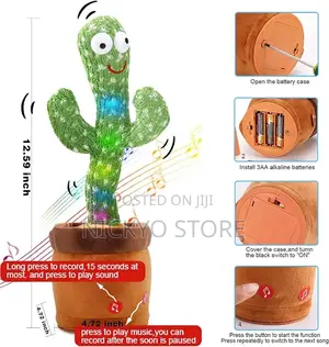 Baby Cactus
